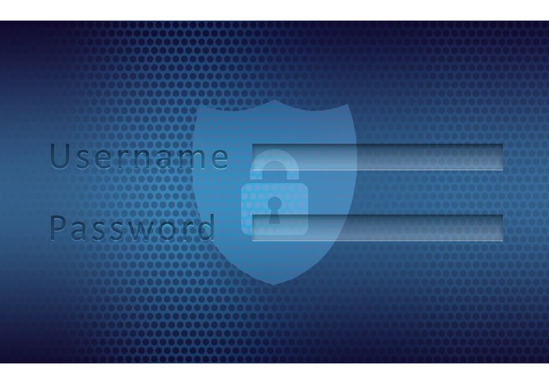 How to choose the right business password manager?