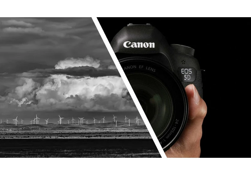 You don't really need a new camera – a $200,000 photo prize was just won with this old Canon DSLR