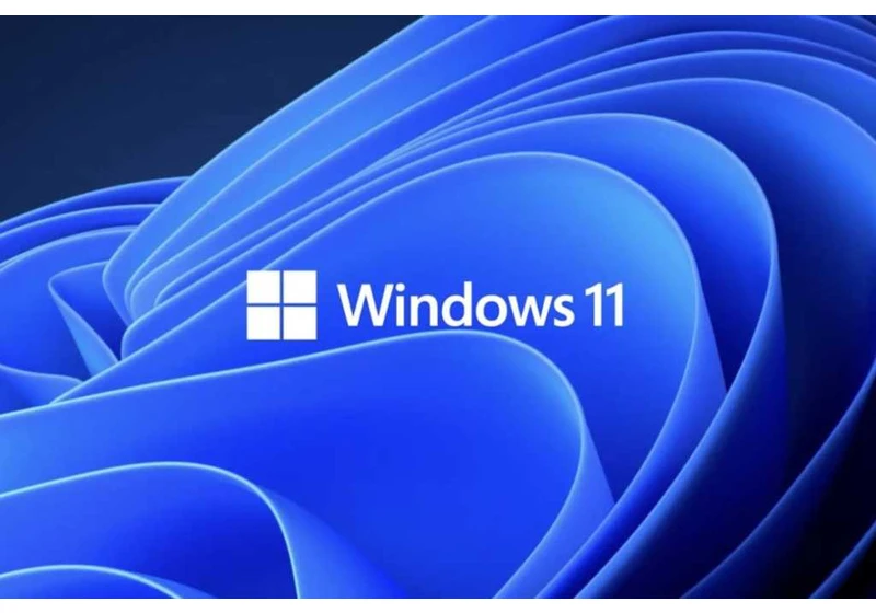 Meet Tiny11, a fine-tuned Windows 11 build that barely needs RAM
