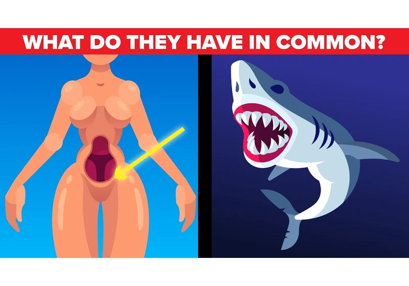 Weird Facts About Female Body