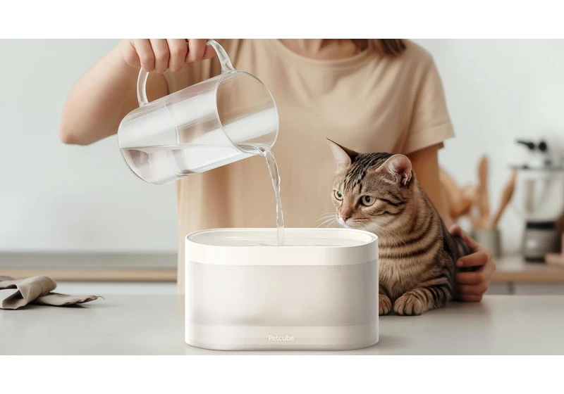 The First Smart Filtered Drinking Fountain for Thirsty Pets Arrives at CES 2025
