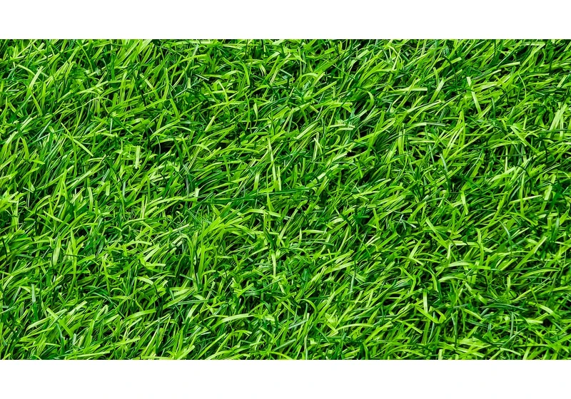 This Is the Best Way to Keep Your Grass From Dying in the Summer Heat