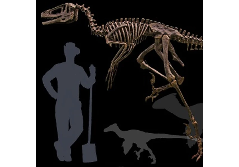 Problematický zabiják z tyranosauřího stínu