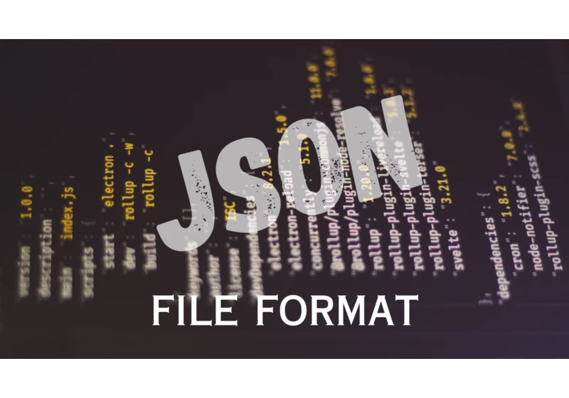 JSON file format