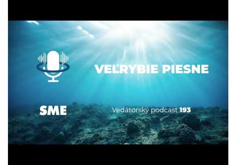Vedátorský podcast 193 – Veľrybie piesne
