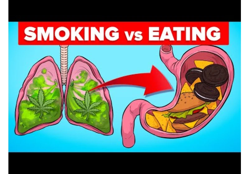 Smoking Weed vs Eating Edibles - What Happens to Your Body