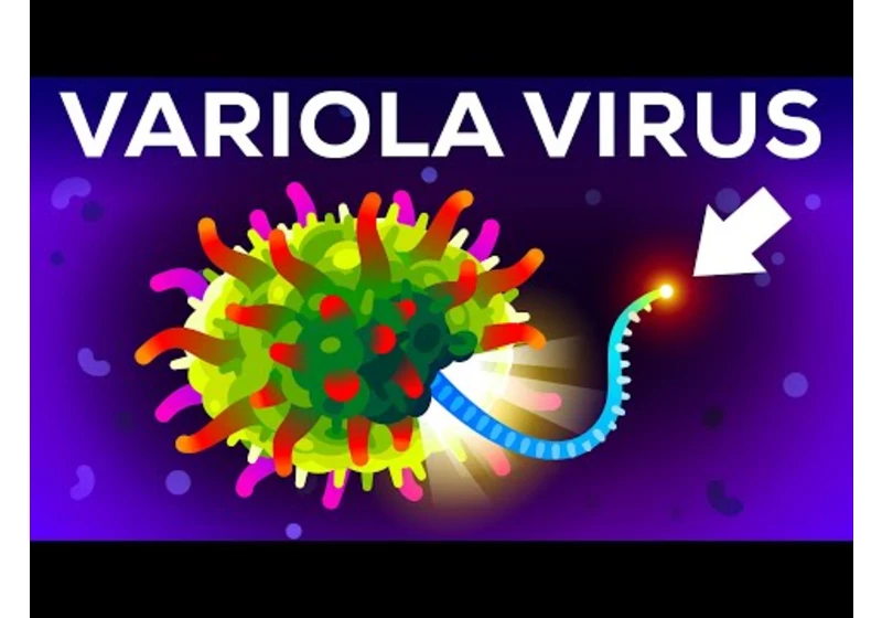 The (Second) Most Deadliest Virus on Earth