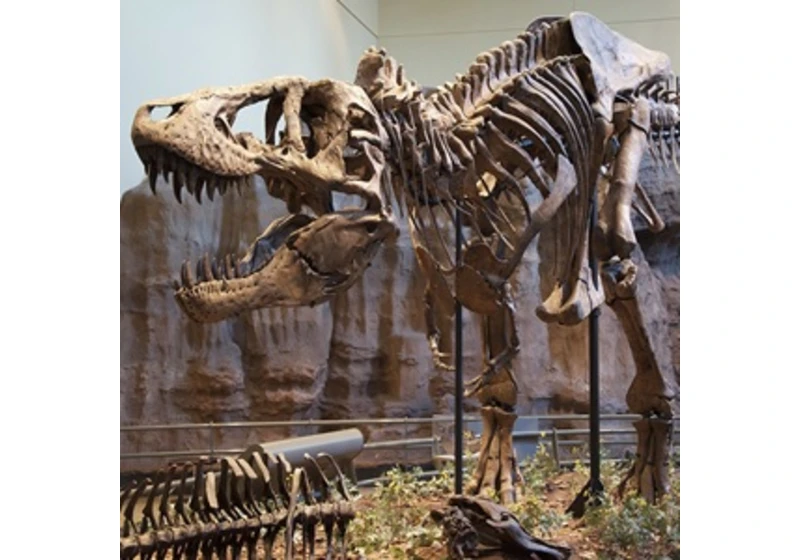 Výročí objevu dinosauřího krále