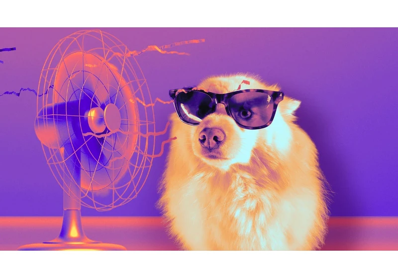 Slash Your Summer Electric Bills With These Home Tips
