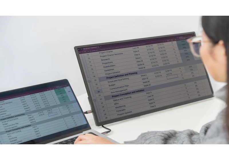  This 24-inch reflective LCD screen is an interesting alternative to expensive e-ink monitors, but I struggle to see who will use it 