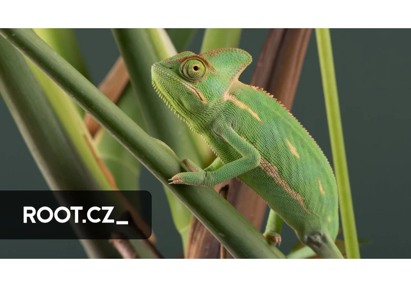openSUSE vylepšuje podpisy balíčků, OpenSnitch bude v Debianu