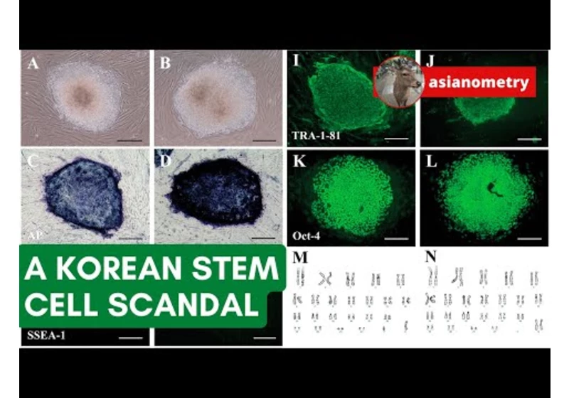 The Fall of a Korean Stem Cell Hero