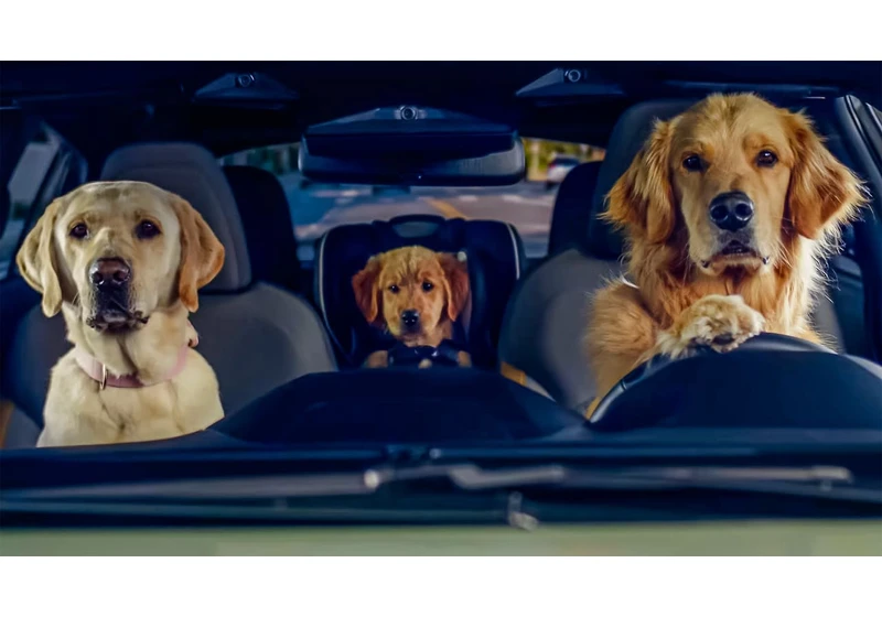 The 4 best Puppy Bowl ads of 2024—and the worst