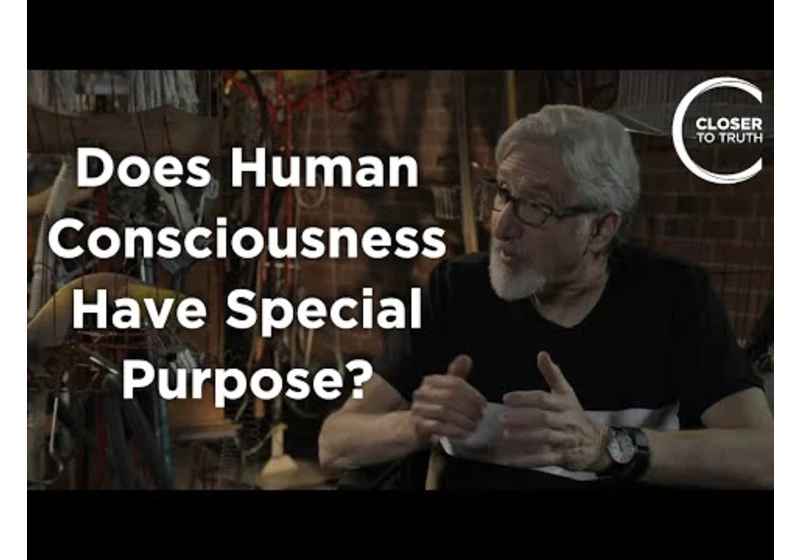 Ned Block - Does Human Consciousness Have Special Purpose?