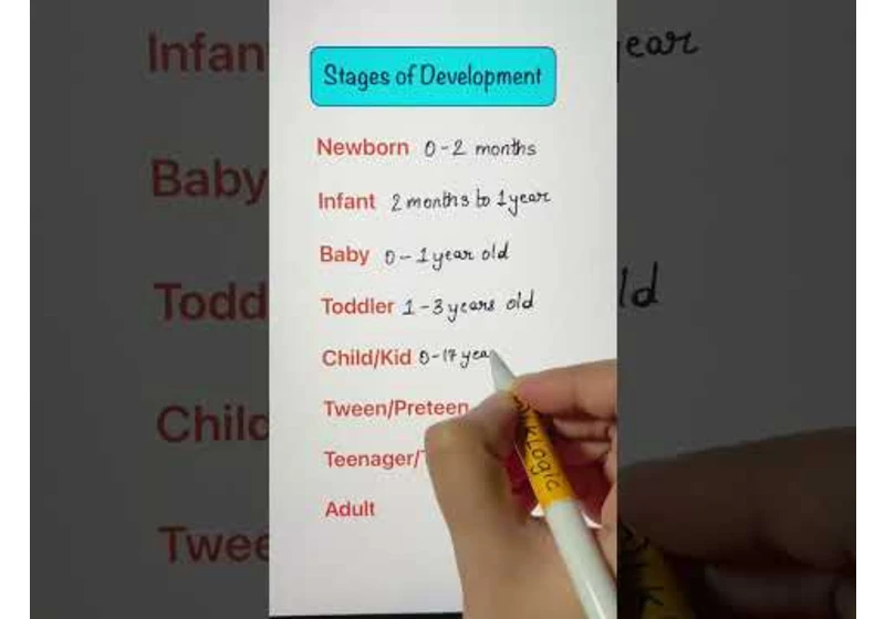 Stages of development