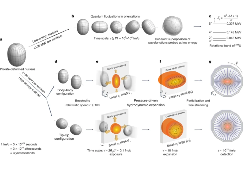 Imaging shapes of atomic nuclei in high-energy nuclear collisions